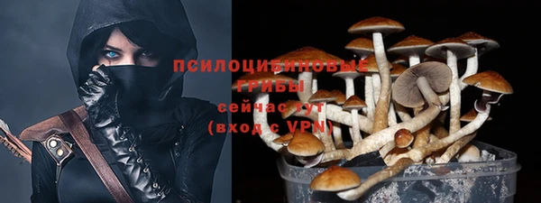 2c-b Алексеевка