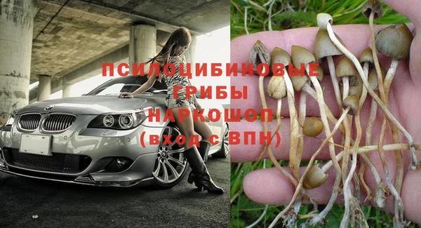 2c-b Алексеевка