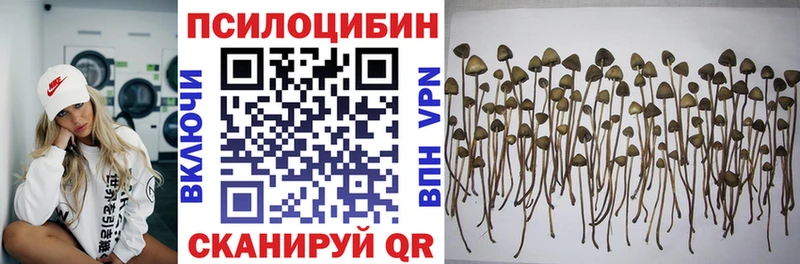 наркотики  KRAKEN онион  Псилоцибиновые грибы мицелий  Суджа 
